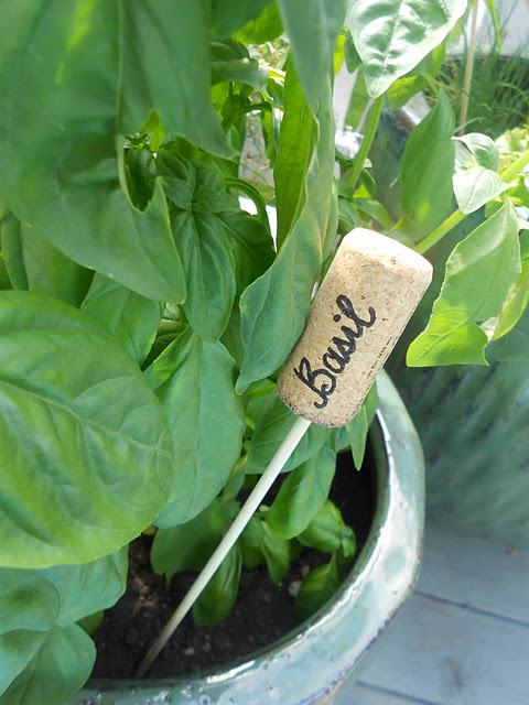 Recycle Wine Corks as Plant Markers